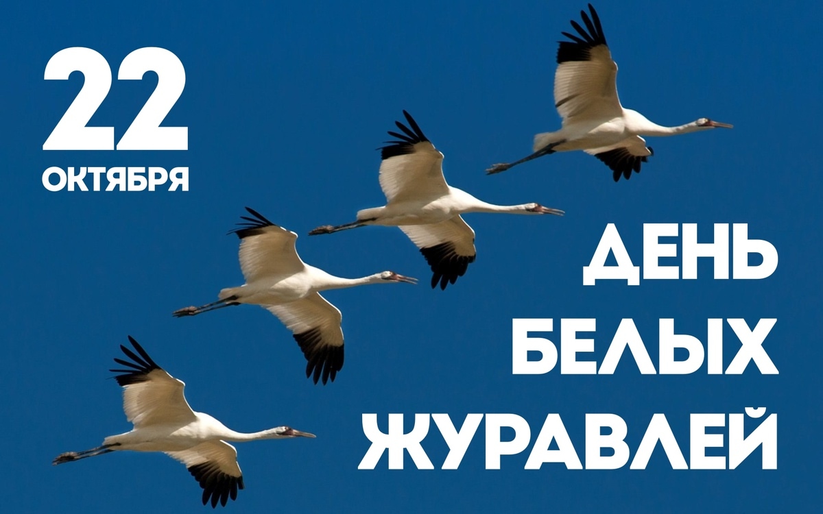 День белых журавлей